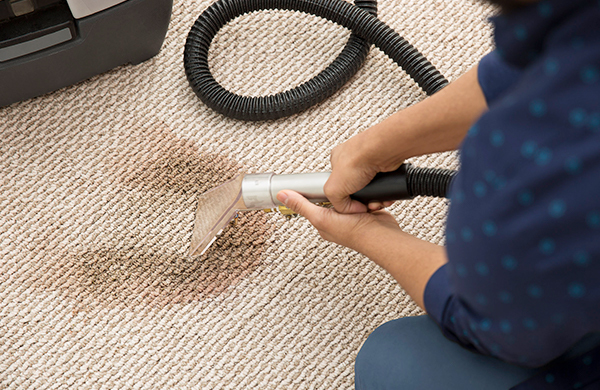 Best Carpet Cleaning